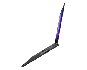 
                  
                    MSI Notebook PrestigePro 16 AI B2HVEG-255IT
                  
                